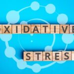 Oxidative Stress: What It Is and How to Keep It in Check