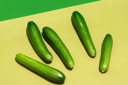 Cucumbers Are Taking Over TikTok. But Is It Healthy to Eat a Whole Cucumber Every Day?