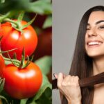 Is tomato good for hair? 7 ways to use it for long and voluminous tresses