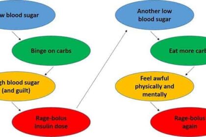 How to Stop Binge-Eating During Low Blood Sugars