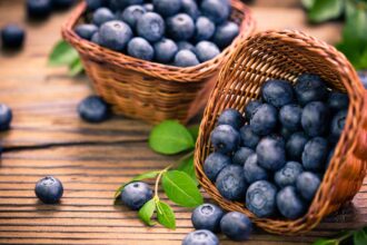 8 benefits of blueberries for skin you can’t miss