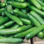 There’s a Major, Multi-State Cucumber Recall Happening That’s Linked to Salmonella