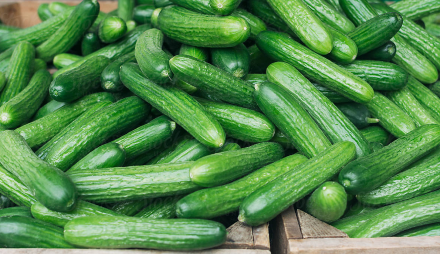 There’s a Major, Multi-State Cucumber Recall Happening That’s Linked to Salmonella