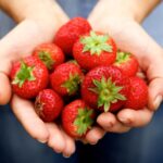 Strawberries in hand