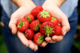 Strawberries in hand