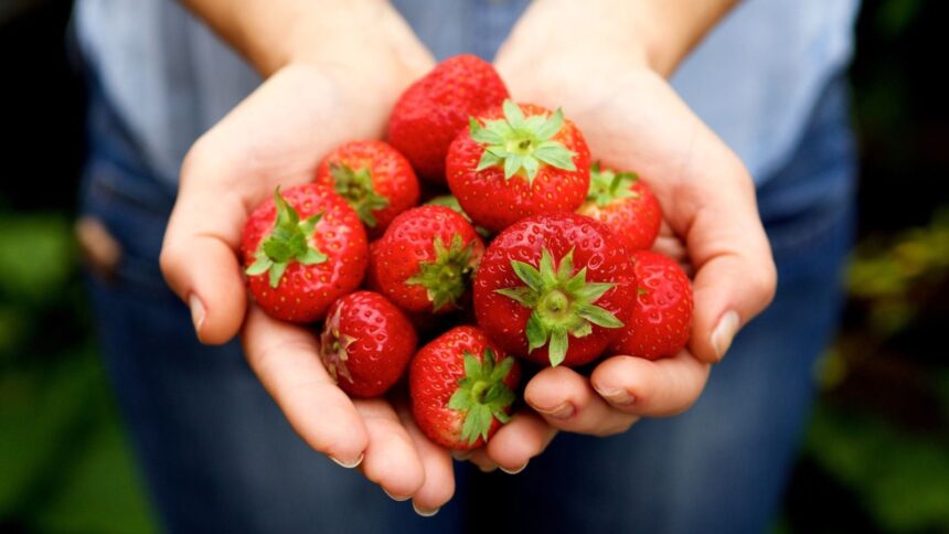 Strawberries in hand